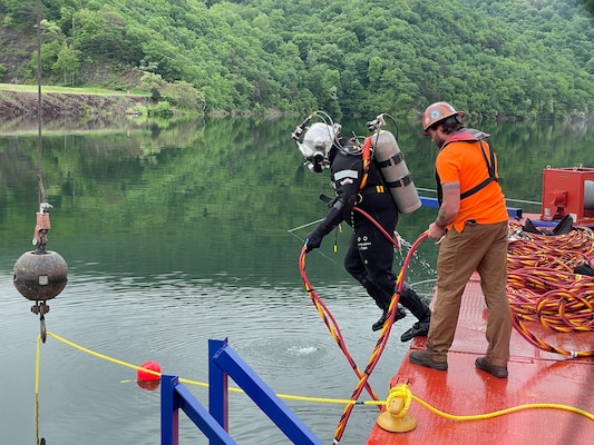 Diver jumping into water