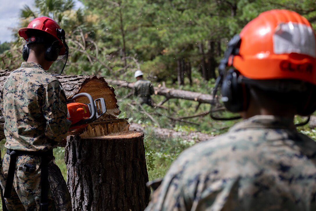 U.S. Marines with Combat Logistics Battalion 26, 22nd Marine Expeditionary Unit (Special Operations Capable), fell trees while conducting a Foreign Humanitarian Assistance mission during Composite Training Unit Exercise on Creighton Island, Georgia, July 5, 2025. During COMPTUEX, the IWOARG and 22nd MEU (SOC) refine tactics, techniques, and procedures to execute warfighting functions that enhance operational readiness and lethality as a unified IWOARG/22 MEU (SOC) team. (U.S. Marine Corps photo by Lance Cpl. Kyle Baskin)