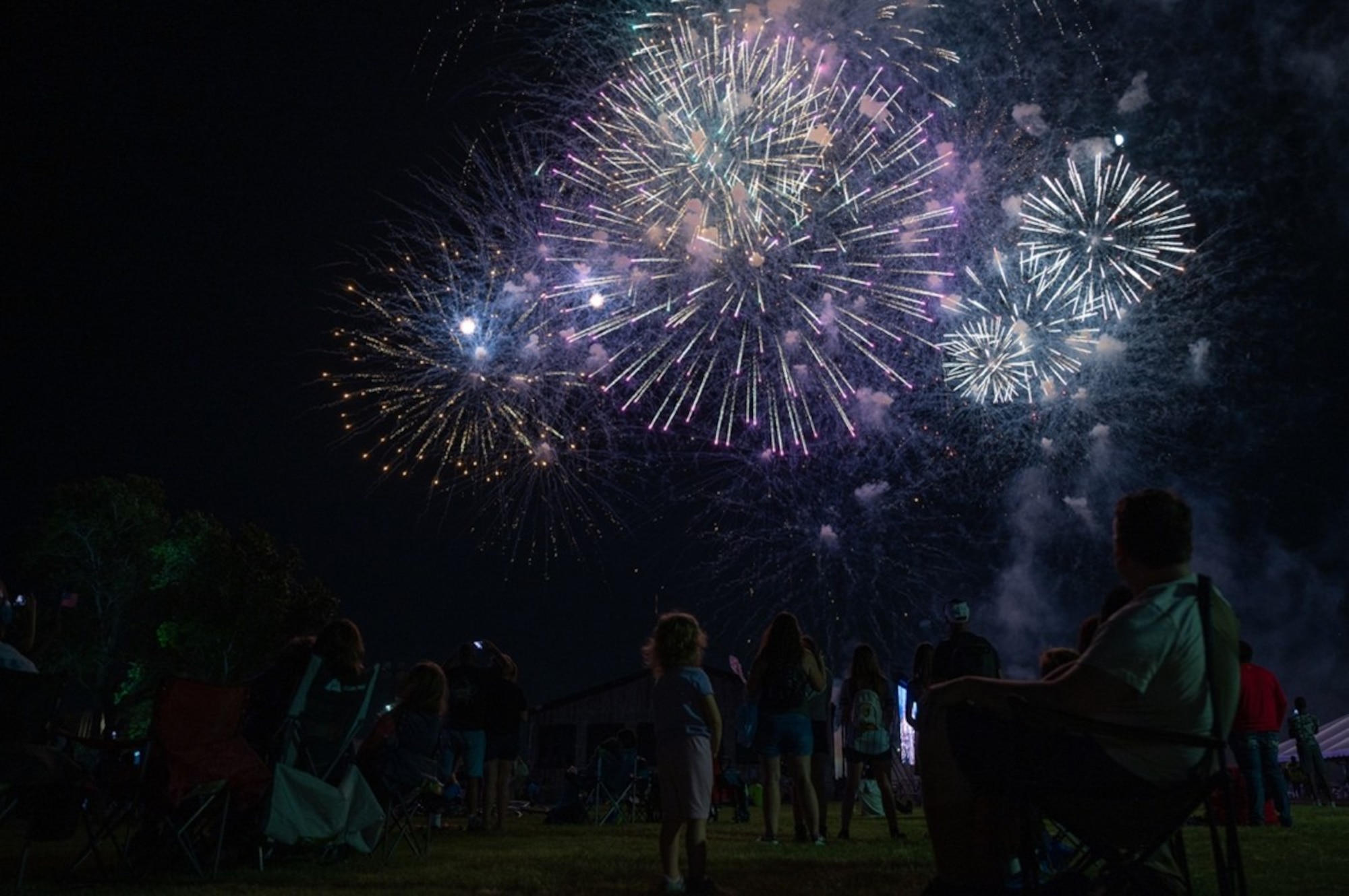Attendees watch fireworks in the sky. (U.S. Air Force photo by Airman 1st Class Donnell Ramsey)
