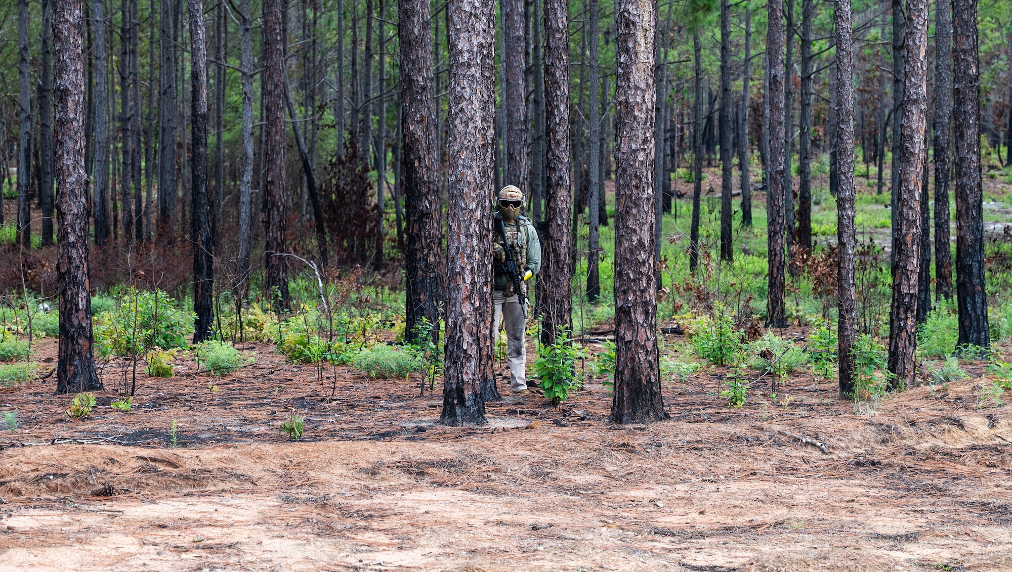 A member in tactical gear takes cover behind a tree, surrounded by other trees.