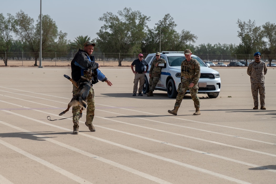 A military working dog apprehends a MWD handler