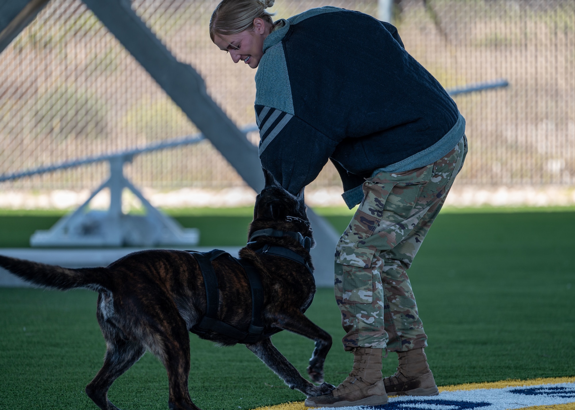 Military working dog Ringo latches onto U.S. Air Force Senior Airman Cassidy Hunt, 30th Security Forces Squadron military working dog handler, during a demonstration at Vandenberg Space Force Base, Calif., July 11, 2025. Military working dog responsibilities include the detection and apprehension of assailants, narcotics, or explosives, along with patrolling the installation with their handlers.