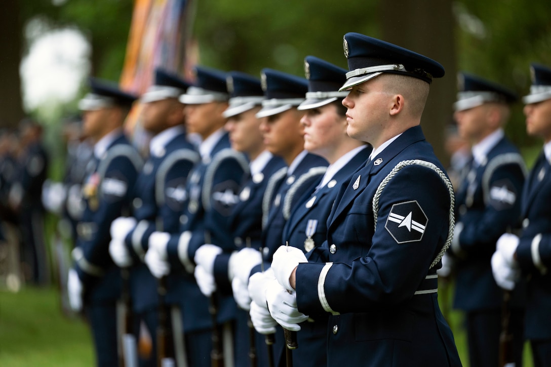Guardians in dress uniforms stand in a row on a grassy area.