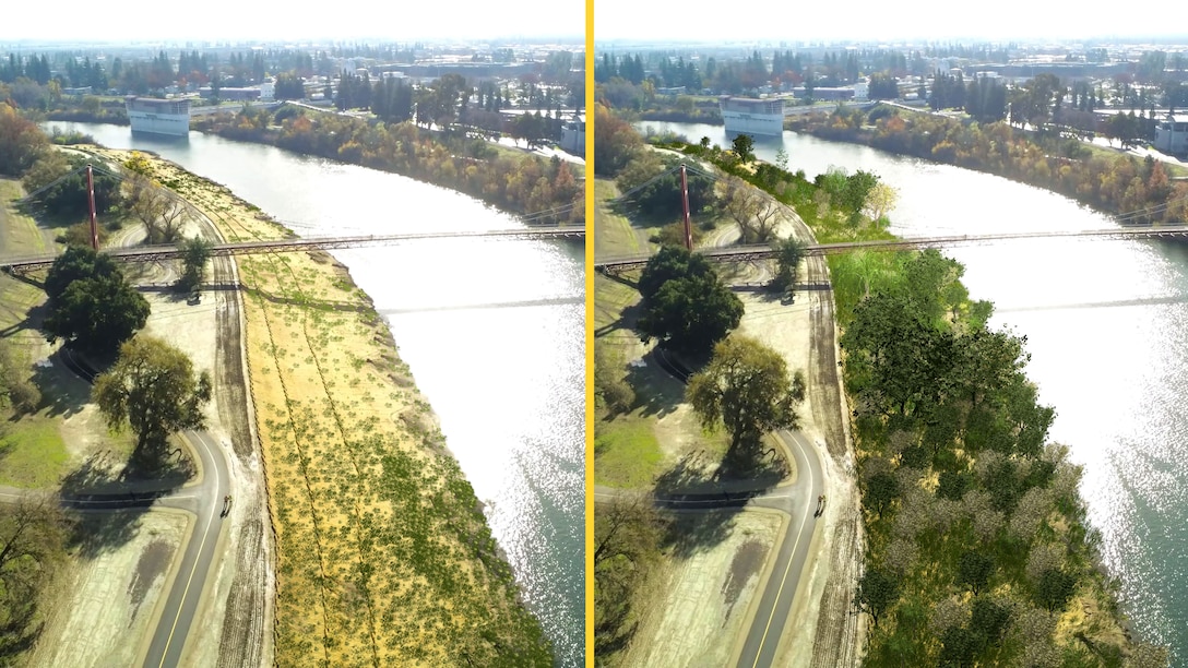 Before and After Visualization of Levee Revegetation