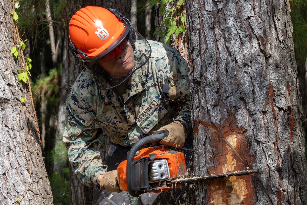 A Marine wearing an orange construction helmet and face visor uses a chainsaw to cut into a tree in a wooded area.