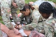 U.S. Soldiers with the 108th Medical Company Area Support, 213th Readiness Support Group, Pennsylvania Army National Guard, establish a medical facility and provide aid to combat casualties during the unit’s field medical exercise at Fort Indiantown Gap, Pennsylvania, July 16, 2025. The exercise simulated medical treatment, medical care and skills necessary to perform mission essential tasks in an austere environment. (U.S. Army National Guard photo by Spc. Annie M. Riley.)