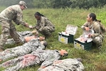 U.S. Soldiers assigned to the 108th Medical Company Area Support, 213th Regional Support Group prepare dummies for a simulated casualty evacuation at Fort Indiantown Gap, Pennsylvania, July 17, 2025. The 108th Medical Company engaged in a weeklong field medical exercise to validate their readiness and elevate their medical and basic Soldier skills. (U.S. Army National Guard photo by Capt. Christopher Booker)