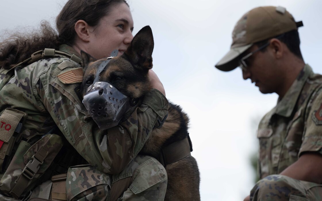 U.S. Air Force SrA Jaidyn Beyer, left, 52nd Security Forces Squadron military working dog handler, and Capa, 52nd Security Forces MWD, participate in pulse training during canine Tactical Combat Casualty Care simulation training at Spangdahlem Air Base, Germany, July 16, 2025. Military working dogs serve vital roles in base security and combat operations, making specialized medical training critical to sustaining mission readiness. (U.S. Air Force photo by Senior Airman Darius Frazier)