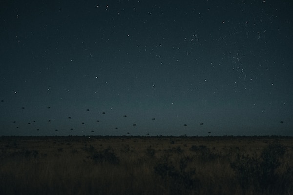 Paratroopers from the United States Army, French Armed Forces and German Army conduct an airborne insertion at night into the Charters Towers region, during Exercise Talisman Sabre. Talisman Sabre is the largest bilateral military exercise between Australia and the United States advancing a free and open Asia-Pacific by strengthening relationships and interoperability among key allies and partners, while enhancing our collective capabilities to respond to a wide array of potential security concerns.