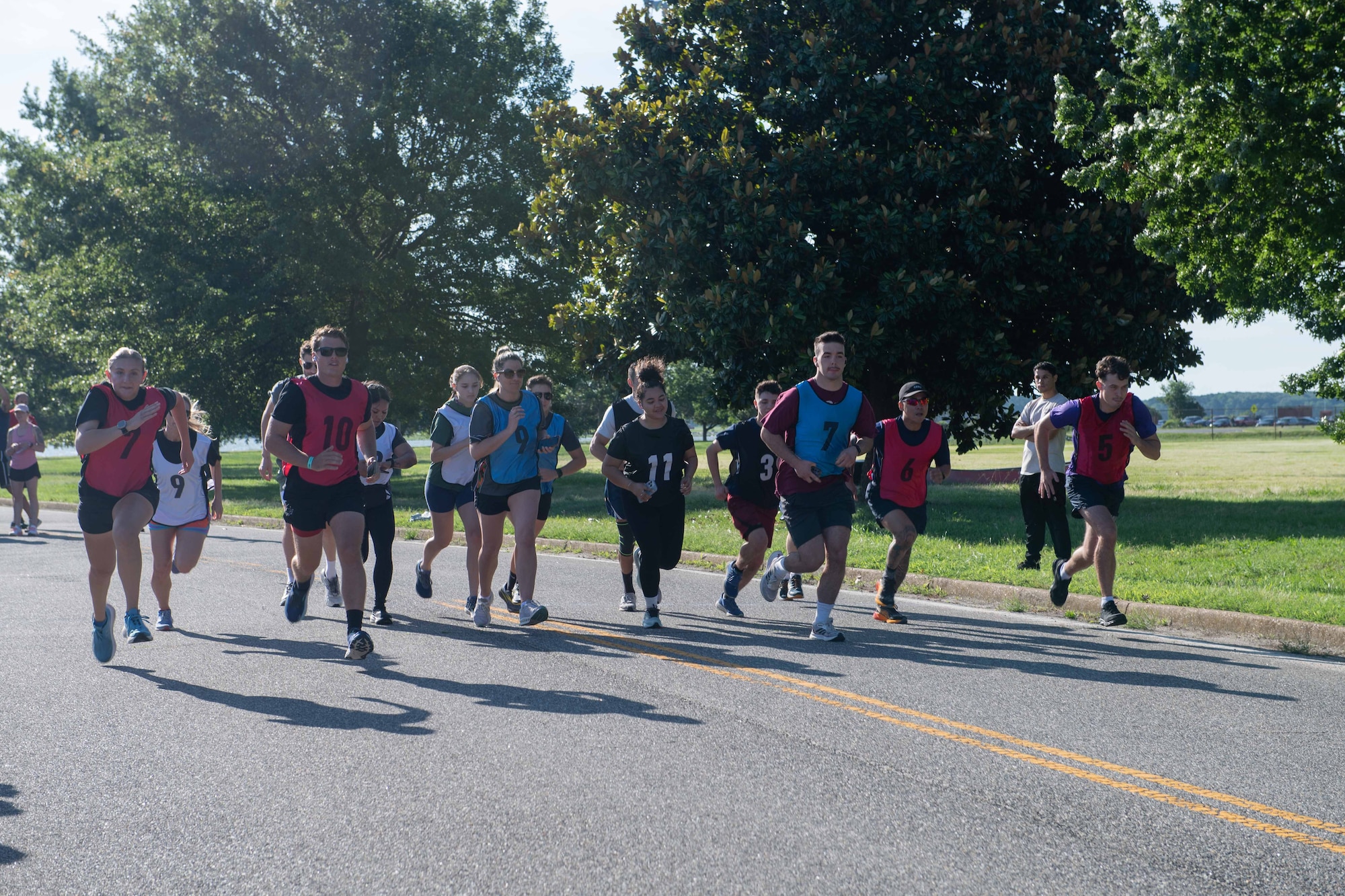 People running in a race on a road in a large group on a sunny day.