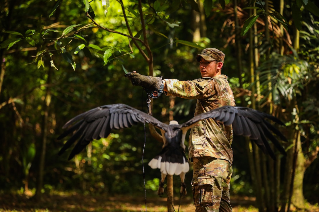 A U.S. Army soldier demonstrates the proper technique for safely handling an eagle, educating U.S. and Australian Army partners on the importance of wildlife awareness and respectful interaction during jungle survival training July 20, 2025.
