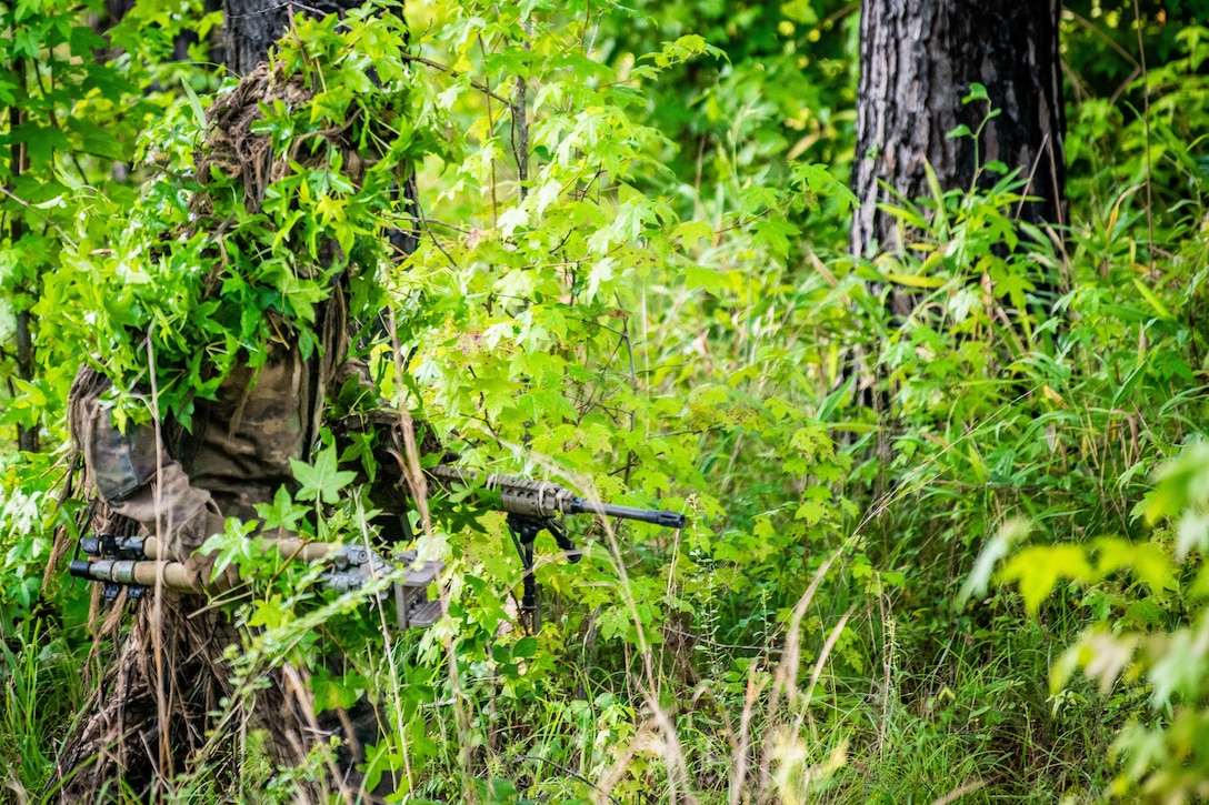 A soldier carrying a rifle and other equipment and wearing vegetation as extra camouflage walks in a wooded area.