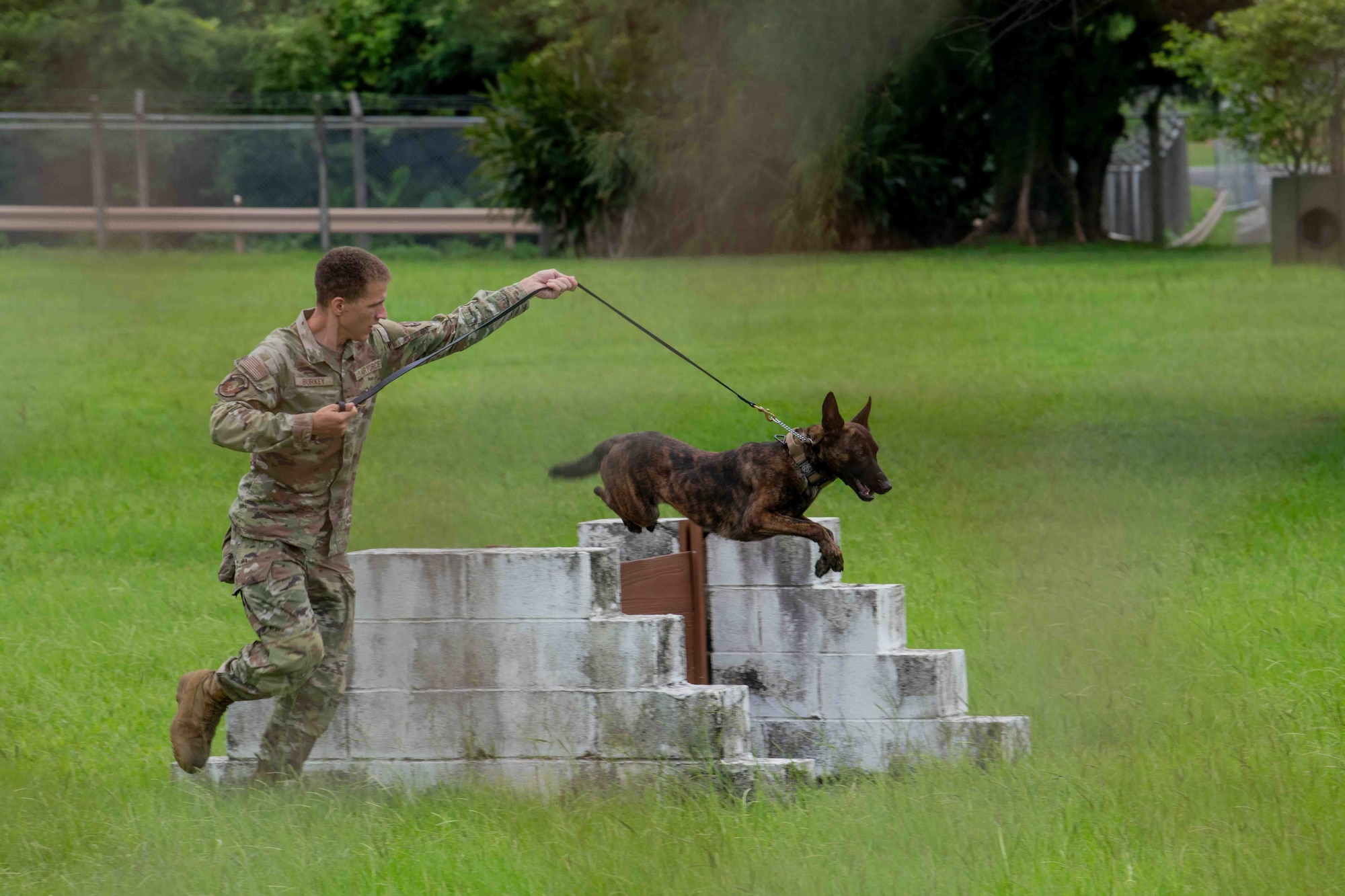 person guides military dog over obstacle