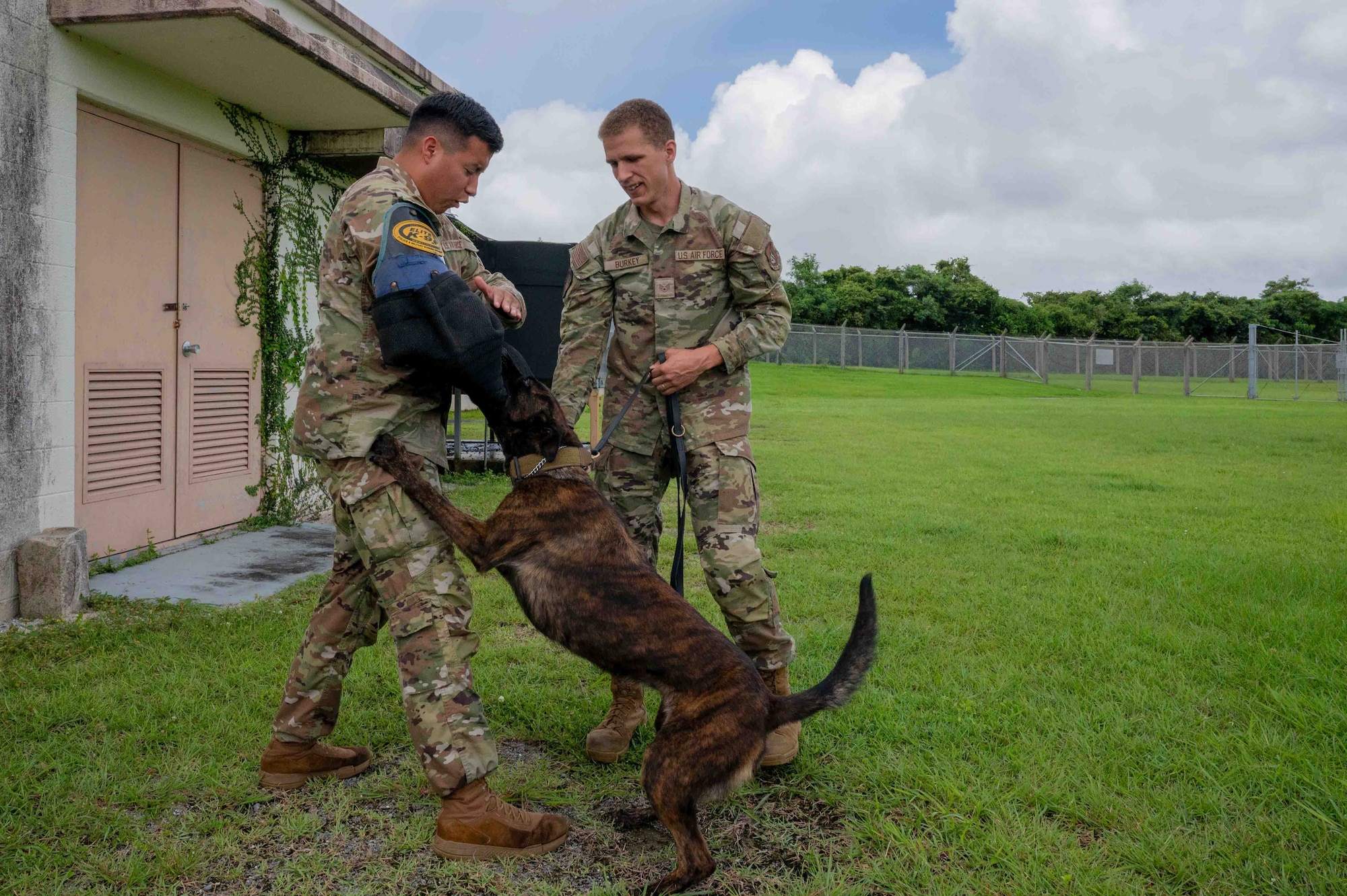 military member gets bit by military working dog held by handler