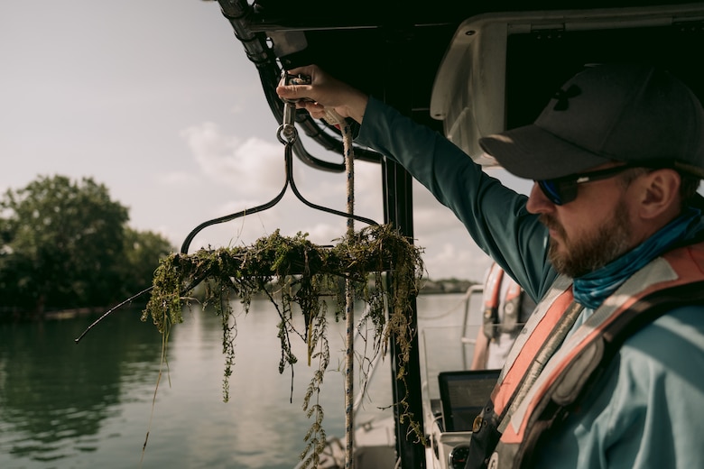 Mike Vorhees, a biologist with the U.S. Army Corps of Engineers, Buffalo District, checks for signs of the invasive hydrilla plant and specific points near where herbicide has been applied to kill it off, North Tonawanda, New York, Aug. 13, 2024.