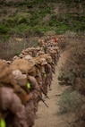 Alpha Company 8K Hike