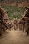 Alpha Company 8K Hike