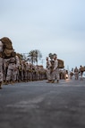 Alpha Company 8K Hike