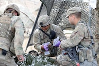 A Soldier, assigned to the 81st Stryker Brigade Combat Team, evaluates a casualty in the triage area of the role 2 medical treatment facility during a mass casualty exercise at Raven Focus, July 19, 2025, at the Yakima Training Center in Washington.