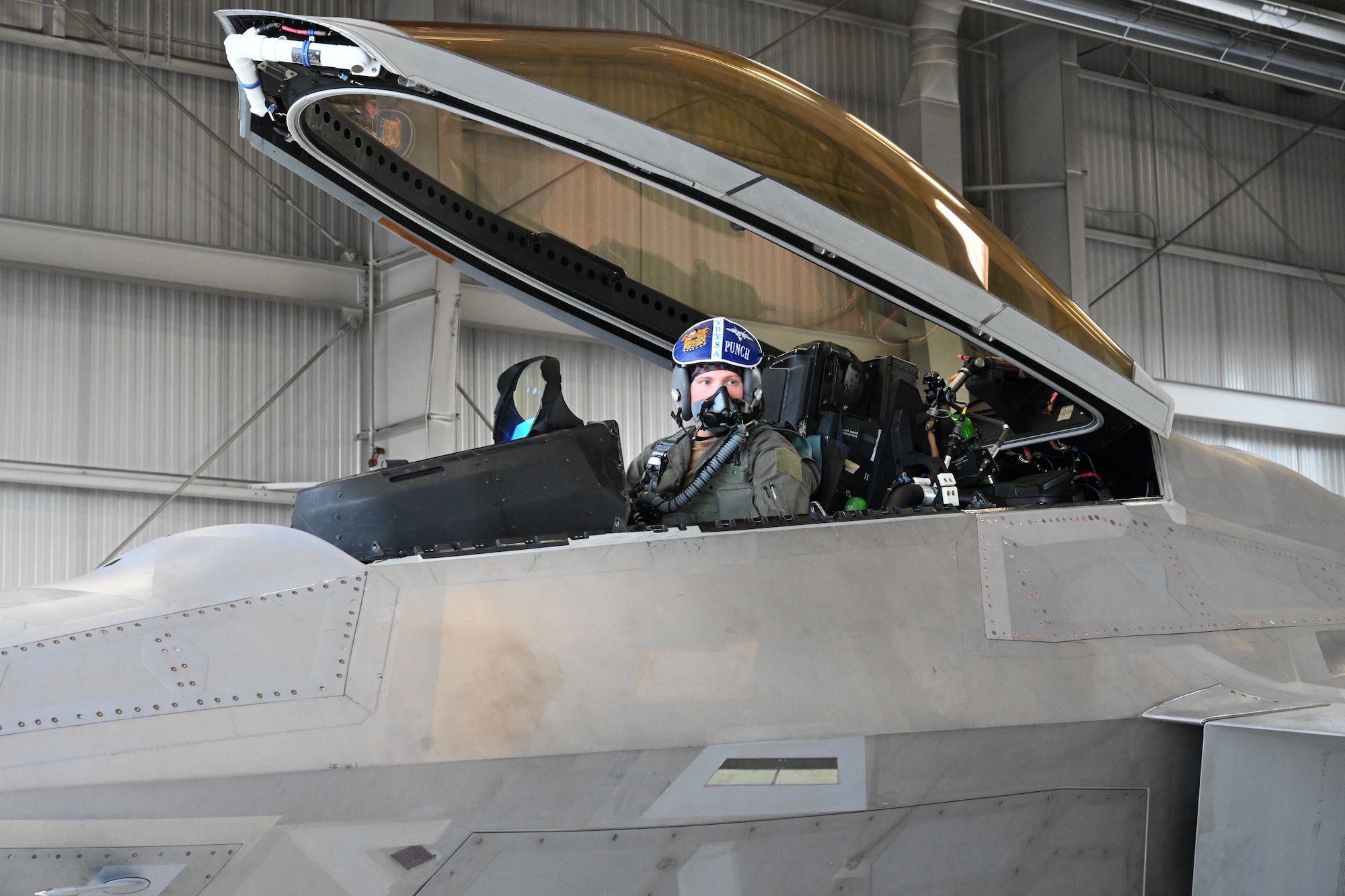 A pilot prepares for takeoff.