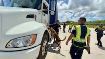 A Guam Customs and Quarantine Agency’s Drug Detector Dog Unit works alongside the U.S. Coast Guard and local and federal partners for a Multi-Agency Strike Force Operation (MASFO) at the Port of Guam, boosting security and compliance through a united front July 15 and 16, 2025.