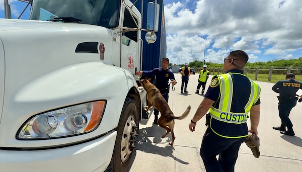 A Guam Customs and Quarantine Agency’s Drug Detector Dog Unit works alongside the U.S. Coast Guard and local and federal partners for a Multi-Agency Strike Force Operation (MASFO) at the Port of Guam, boosting security and compliance through a united front July 15 and 16, 2025.