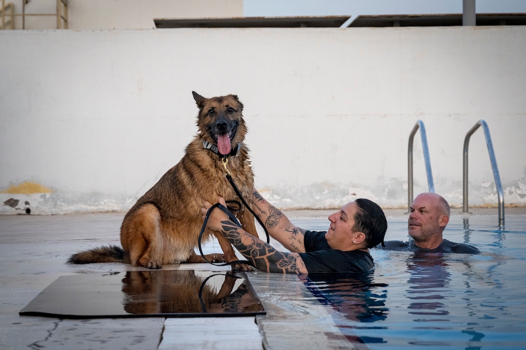 Military working dog handlers conduct water based training with their K9 companions withing the U.S. Central Command area of responsibility June 1, 2025. Making sure military working dogs are constantly exposed to multiple unique elements keeps them prepared for whatever situation they may be exposed to during real world operations. (U.S. Air Force photo by Staff Sgt. Mira Roman)