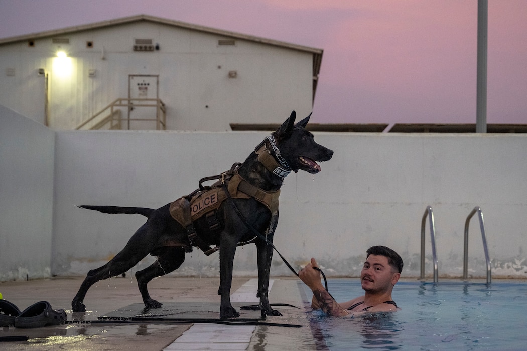 Military working dog handlers conduct water based training with their K9 companions withing the U.S. Central Command area of responsibility June 1, 2025. Making sure military working dogs are constantly exposed to multiple unique elements keeps them prepared for whatever situation they may be exposed to during real world operations. (U.S. Air Force photo by Staff Sgt. Mira Roman)