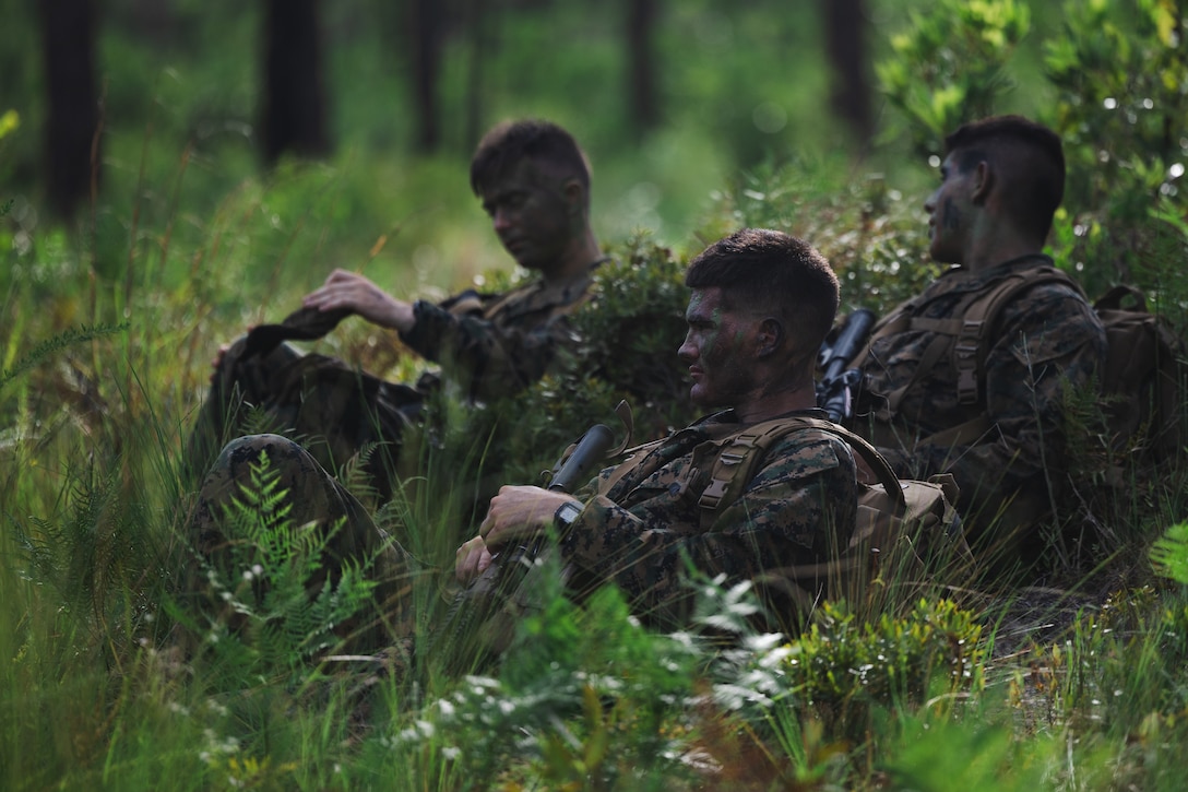 U.S. Navy Reserve Officers’ Training Corps (ROTC) Midshipmen rest while waiting for instructions during Fleet Marine Force East (FMF-E) at Marine Corps Base Camp Lejeune, North Carolina, July 17, 2025.  2nd Battalion, 2nd Marine Regiment provided coordination and safety support during FMF-E, a training event with the purpose of familiarizing NROTC Midshipmen who have committed to becoming Marine Corps officers with the primary communities they may serve in. (U.S. Marine Corps photo by Sgt. Jorge Borjas)