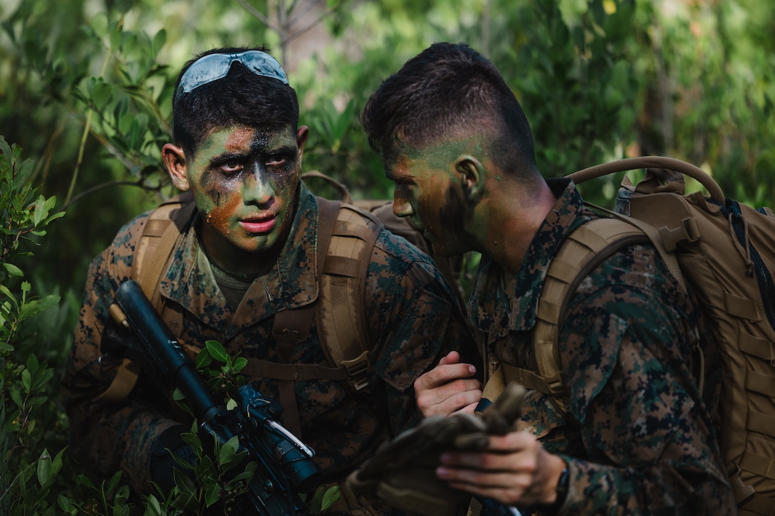 U.S. Navy Reserve Officers’ Training Corps (ROTC) Midshipmen communicate to each other while patrolling through the woods during during Fleet Marine Force East (FMF-E) at Marine Corps Base Camp Lejeune, North Carolina, July 17, 2025.  2nd Battalion, 2nd Marine Regiment provided coordination and safety support during FMF-E, a training event with the purpose of familiarizing NROTC Midshipmen who have committed to becoming Marine Corps officers with the primary communities they may serve in. (U.S. Marine Corps photo by Sgt. Jorge Borjas)