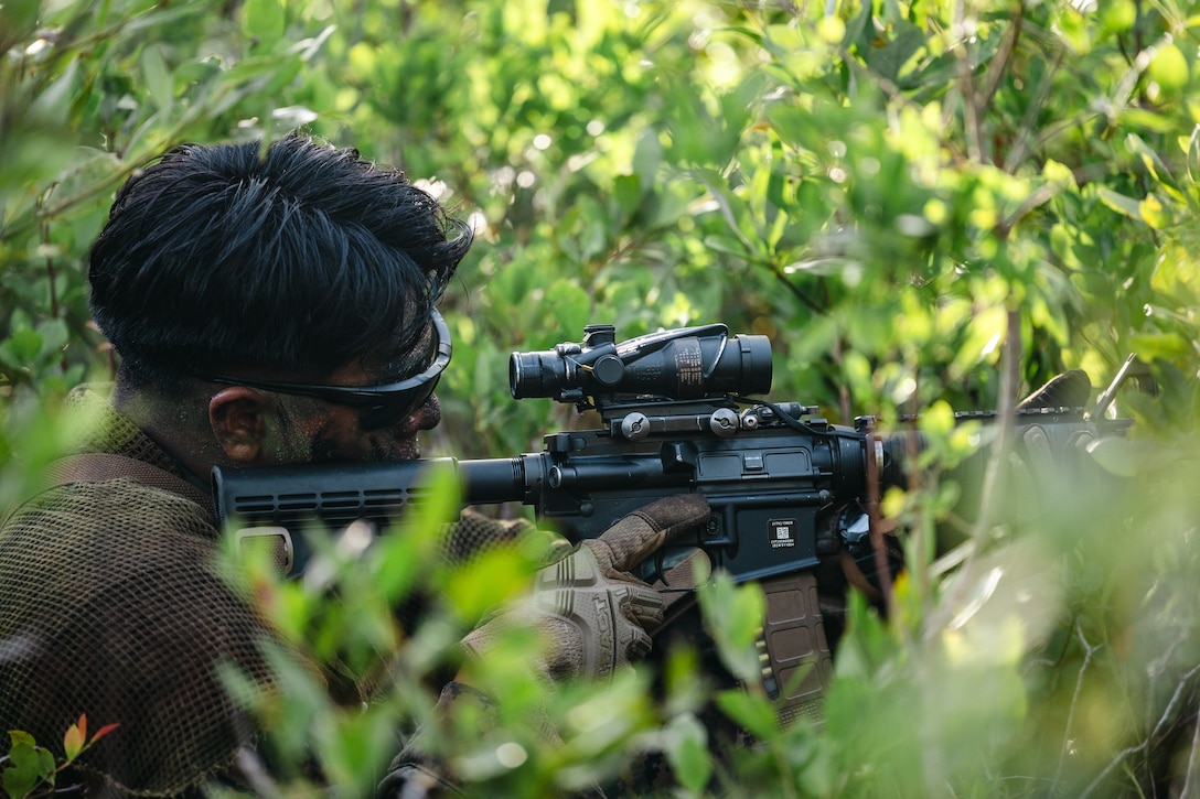 A U.S. Navy Reserve Officers; Training Corps (ROTC) Midshipman provides security while conducting patrol base operations during Fleet Marine Force East (FMF-E) at Marine Corps Base Camp Lejeune, North Carolina, July 17, 2025.  2nd Battalion, 2nd Marine Regiment provided coordination and safety support during FMF-E, a training event with the purpose of familiarizing NROTC Midshipmen who have committed to becoming Marine Corps officers with the primary communities they may serve in. (U.S. Marine Corps photo by Sgt. Jorge Borjas)
