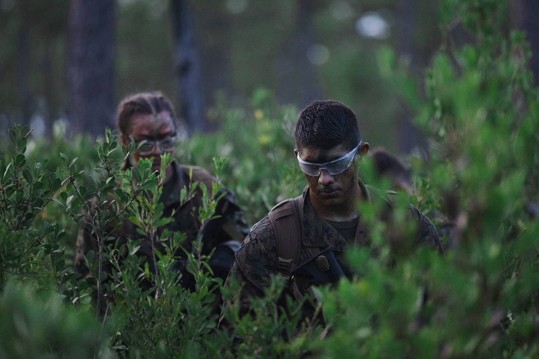 U.S. Navy Reserve Officers’ Training Corps (ROTC) Midshipmen traverse through vegetation while conducting patrol base operations during Fleet Marine Force East (FMF-E) at Marine Corps Base Camp Lejeune, North Carolina, July 17, 2025.  2nd Battalion, 2nd Marine Regiment provided coordination and safety support during FMF-E, a training event with the purpose of familiarizing NROTC Midshipmen who have committed to becoming Marine Corps officers with the primary communities they may serve in. (U.S. Marine Corps photo by Sgt. Jorge Borjas)