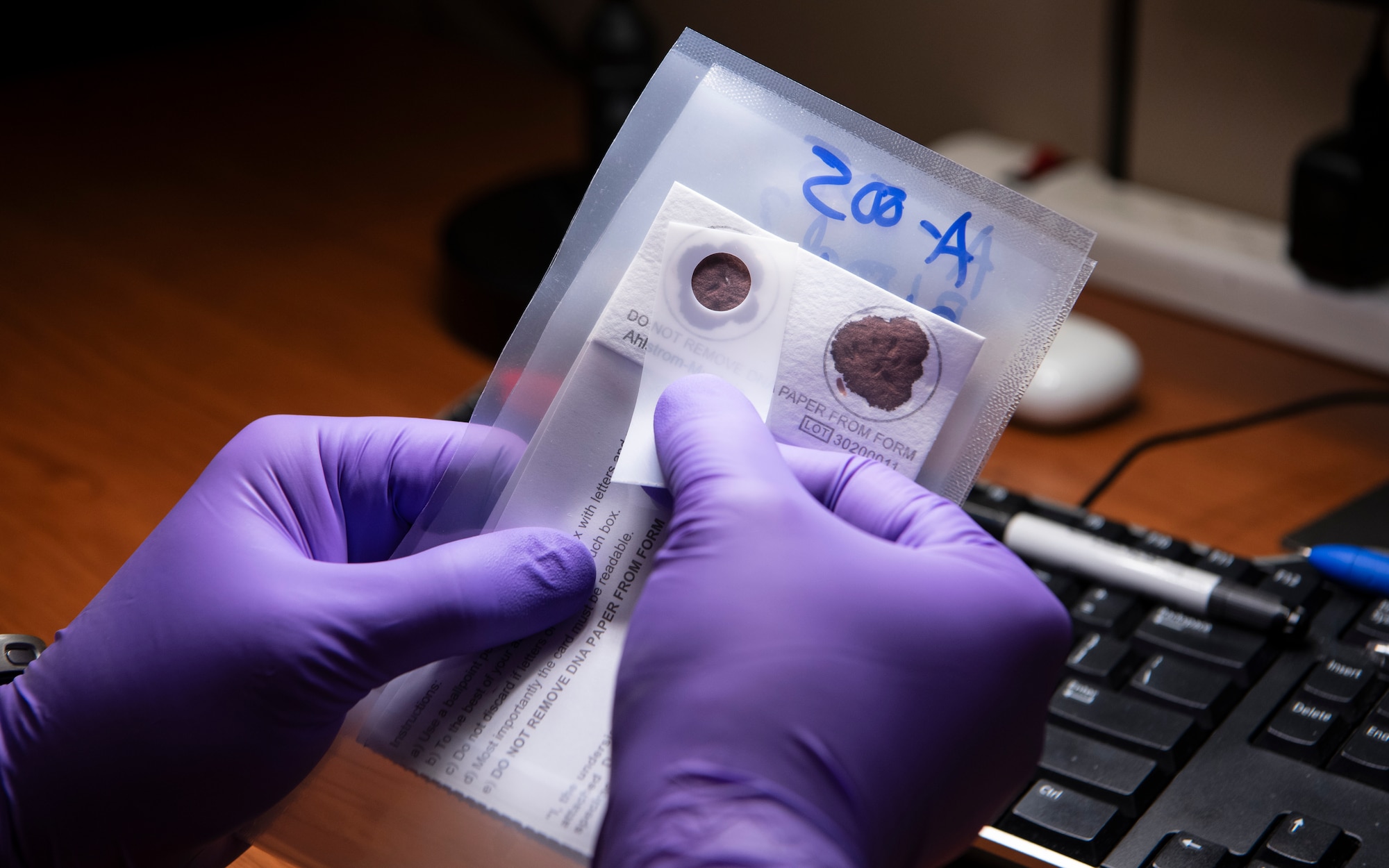 Mr. Christopher Kardshowsky, Armed Forces Repository of Specimen Samples for the Identification of Remains (AFRSSIR) quality control technician, inspects a DNA blood stain card for potential discrepancies at the Armed Forces Medical Examiner System (AFMES), Dover Air Force Base, Delaware, June 27, 2025. Each card goes through a two-step quality control check before being stored. After being assessed, the cards are placed into polyfoil pouches with a desiccant, vacuum sealed, and placed into trays for storage. These trays can hold 400 cards each and are organized by collection site and date received. (U.S. Air Force photo by Staff Sgt. Noah D. Coger)