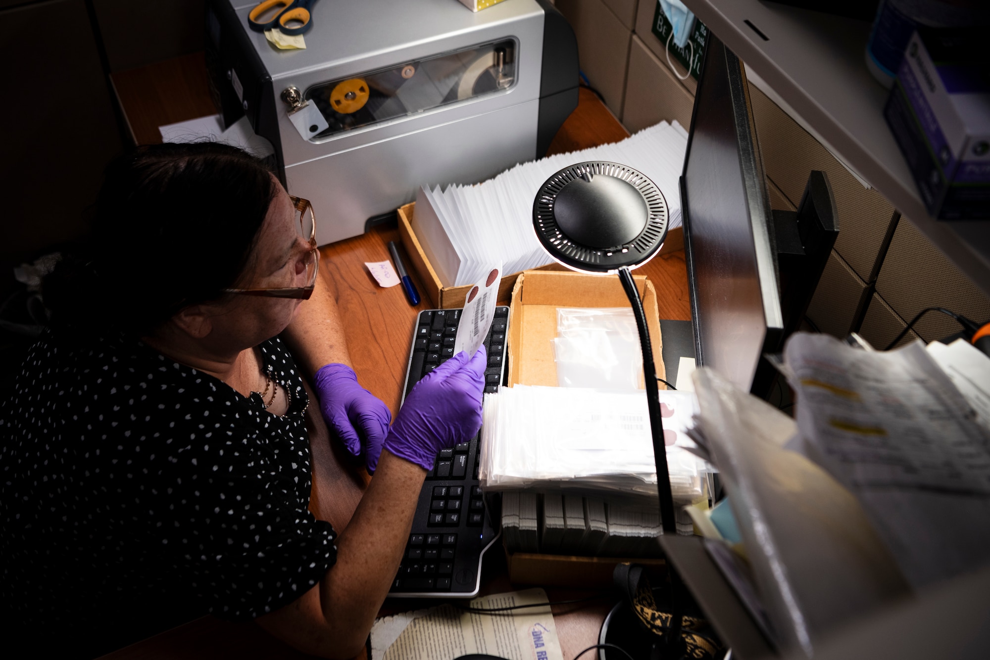 Ms. Gloria Lindmark, Armed Forces Repository of Specimen Samples for the Identification of Remains (AFRSSIR) specimen processor, enters information from a DNA blood stain card into the Specimen Management System at the Armed Forces Medical Examiner System (AFMES), Dover Air Force Base, Delaware, June 25, 2025. The AFRSSIR within AFMES has been responsible for processing and storage of military members’ blood stain cards, to include enlisted and officers from every branch, as well as contractors and civilians that deploy with joint forces, since 1992. The Specimen Management System is a proprietary software that helps AFRSSIR members identify what members have cards on file as well as where their blood stain cards are located. (U.S. Air Force photo by Staff Sgt. Noah D. Coger)
