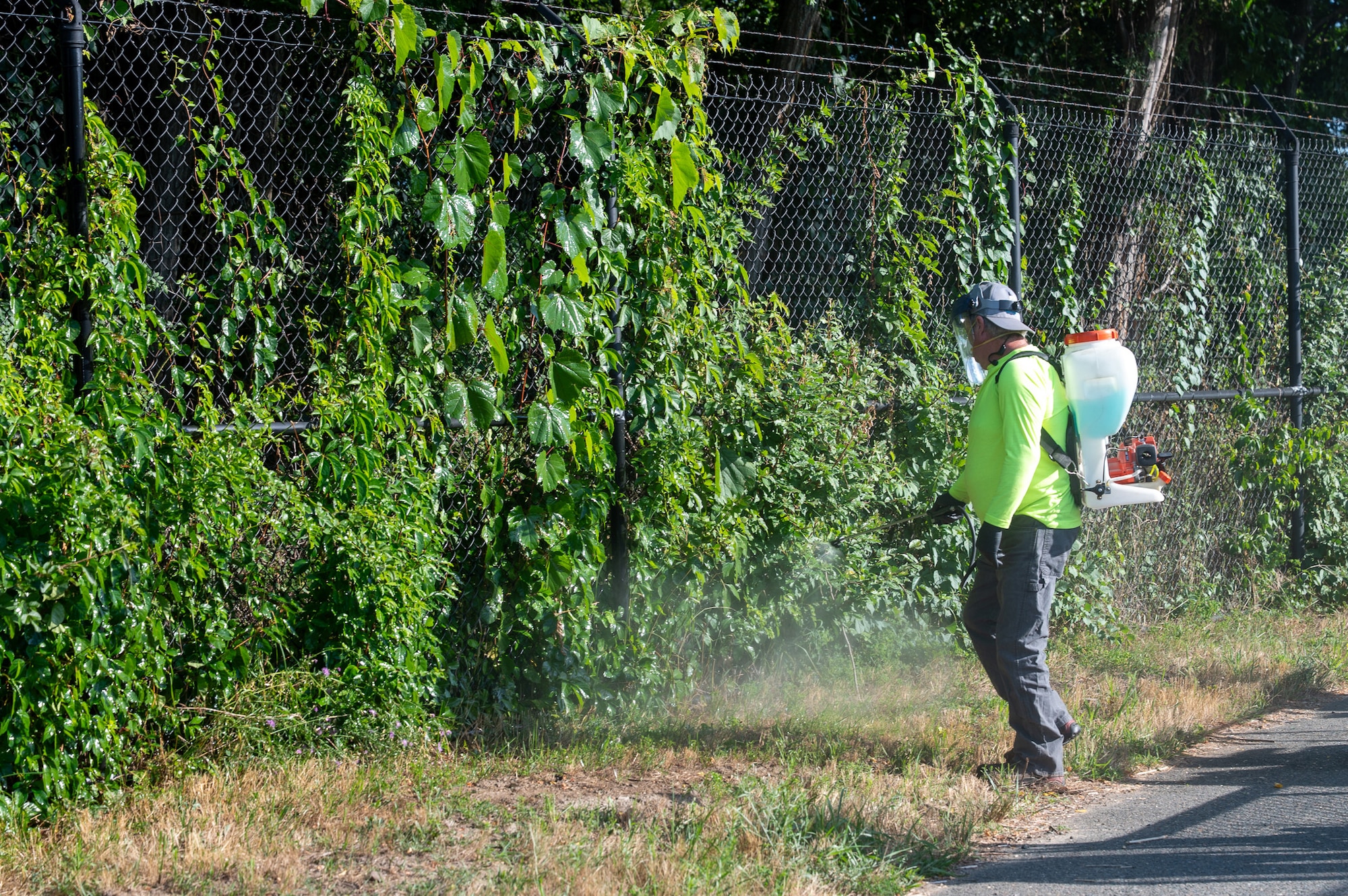 Image of person spraying invasive weeds along a fence.