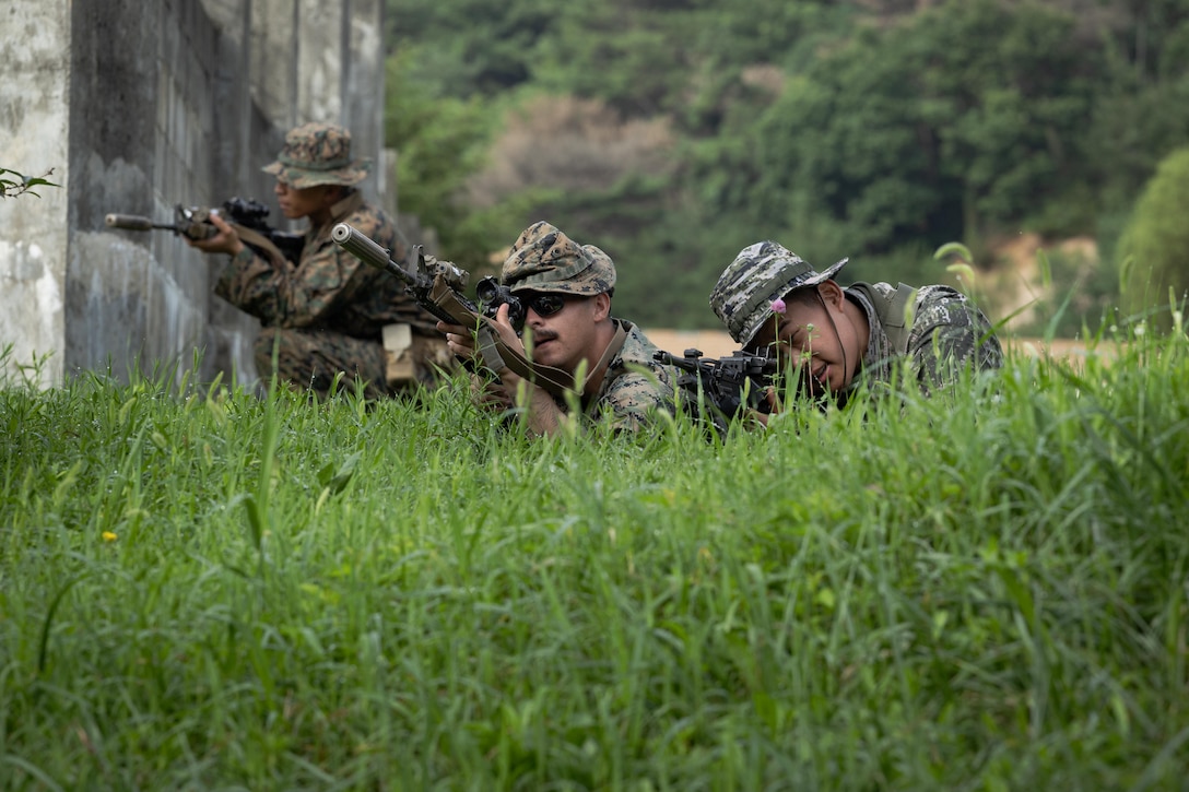 Three Marines laying in tall grass near a concrete wall aim service weapons.