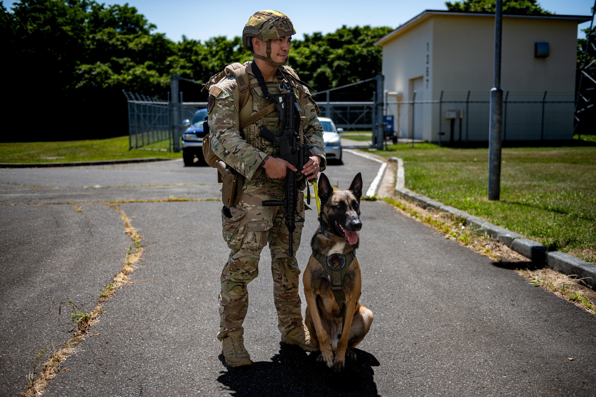 U.S. Air Force Staff Sgt. Kanejoshua Smoot,  35th Security Forces Squadron (SFS) military working dog (MWD) trainer, stands with Clinton, 35th SFS MWD, before a MWD certification test.