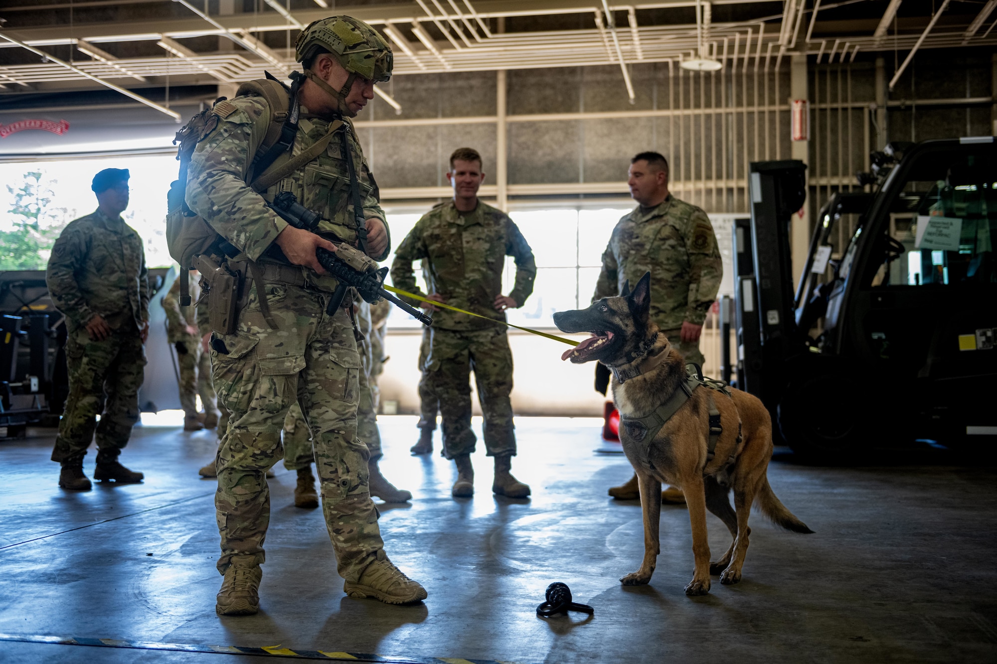 U.S. Air Force Staff Sgt. Kanejoshua Smoot, left, 35th Security Forces Squadron (SFS) military working dog (MWD) trainer, praises Clinton, 35th SFS MWD, for finding a simulated explosive device during a MWD certification test.