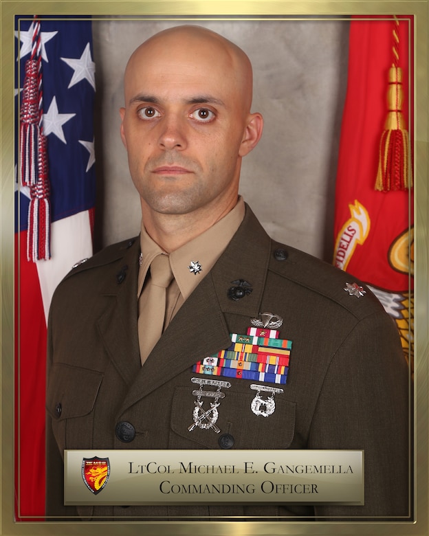 Lieutenant Colonel Michael E. Gangemella