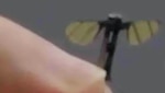 Image of a micro-UAV shown on China Central Television
