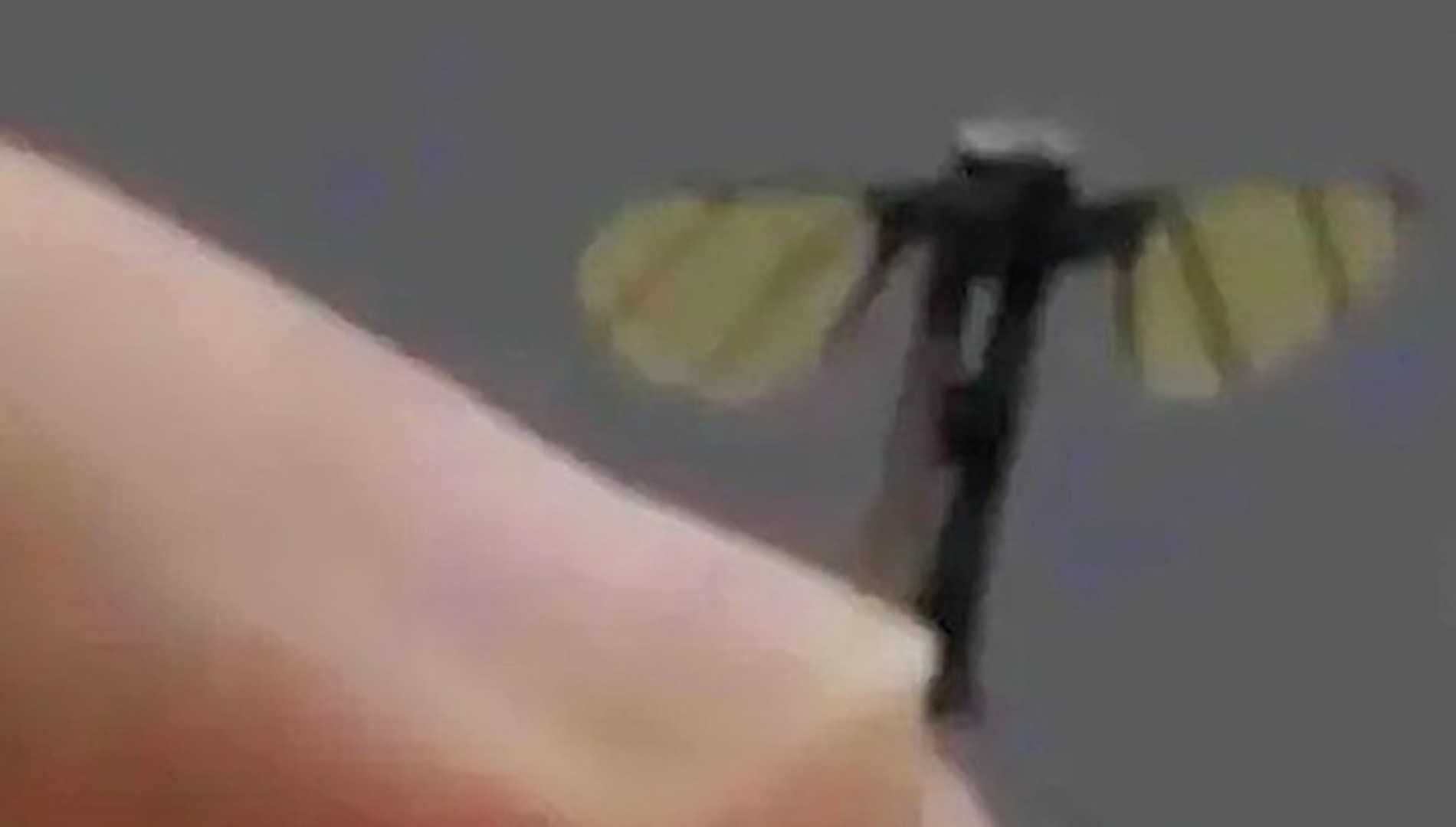 Image of a micro-UAV shown on China Central Television