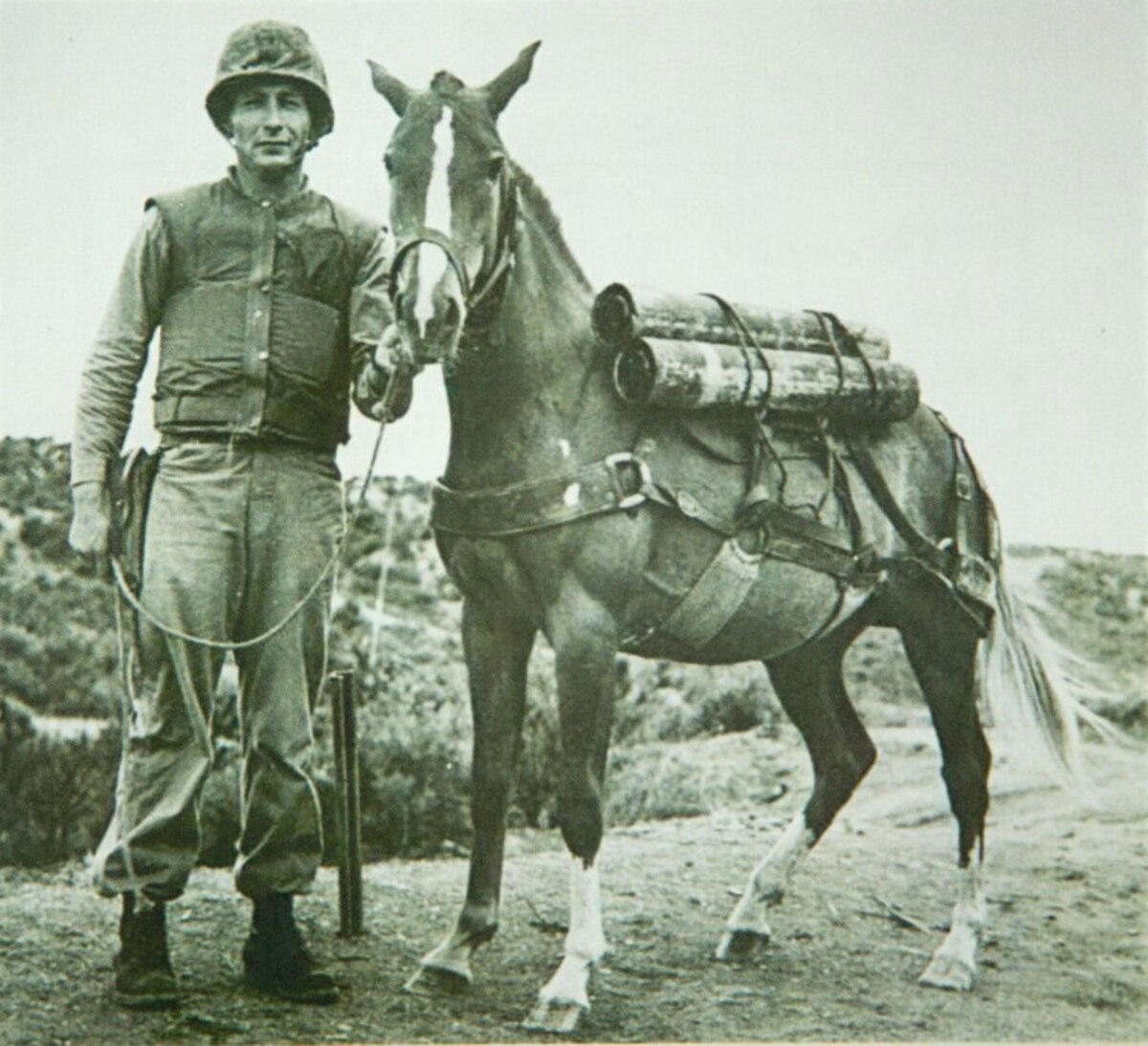 A man in uniform stands beside a horse overlooking an arid valley.