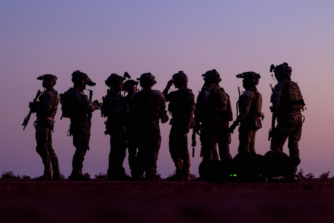 Nine airmen, shown in silhouette, hold weapons while standing outdoors in a line against a purplish sky.