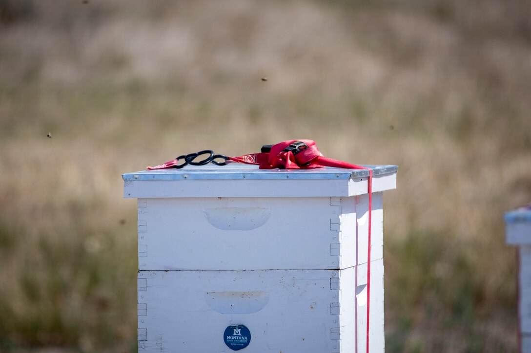 Beehive boxes are located at the U.S. Army Corps of Engineers, Omaha District’s Fort Peck Project in Montana, June 21, 2025.
