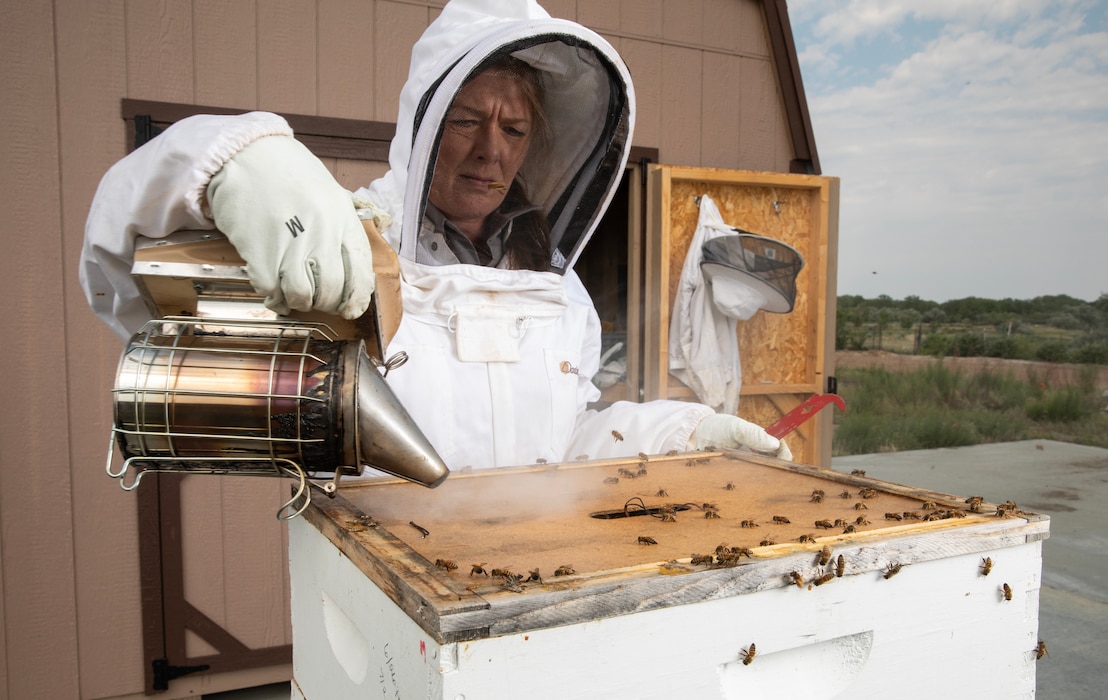Patricia Gilbert-Ball, a natural resources specialist and park ranger with the U.S. Army Corps of Engineers, Omaha District’s Fort Peck Project in Montana, handles a honeybee hive at the project’s Bee Haven Pollinator Garden and Interpretive Trail, July 19, 2025.