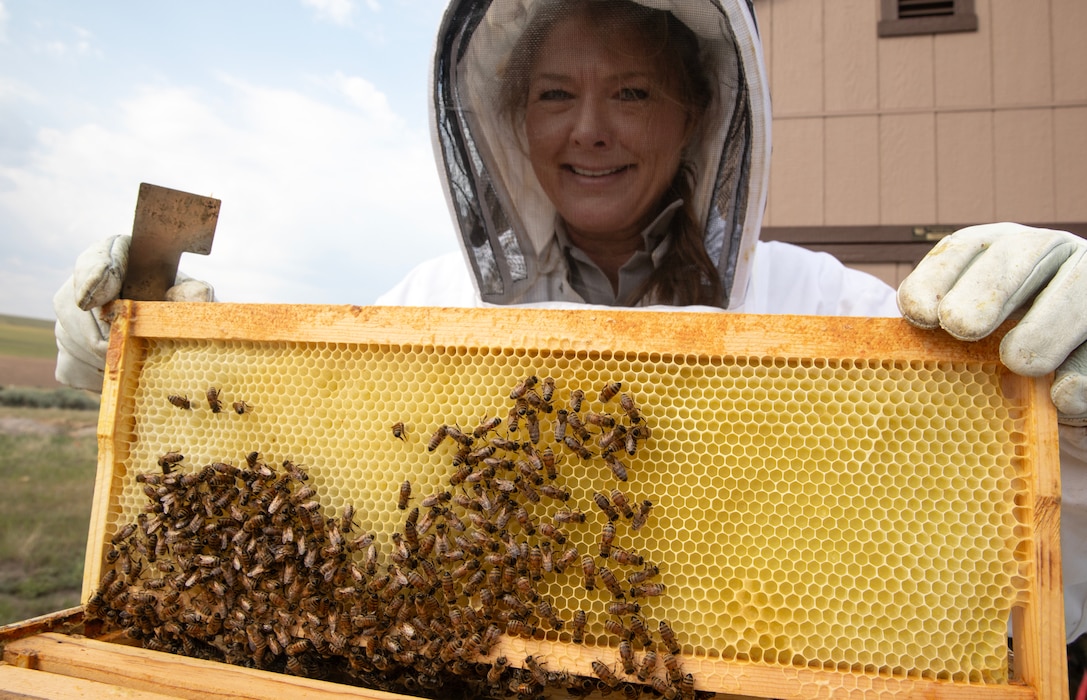 Patricia Gilbert-Ball, a natural resources specialist and park ranger with the U.S. Army Corps of Engineers, Omaha District’s Fort Peck Project in Montana, handles a honeybee hive at the project’s Bee Haven Pollinator Garden and Interpretive Trail, July 19, 2025.