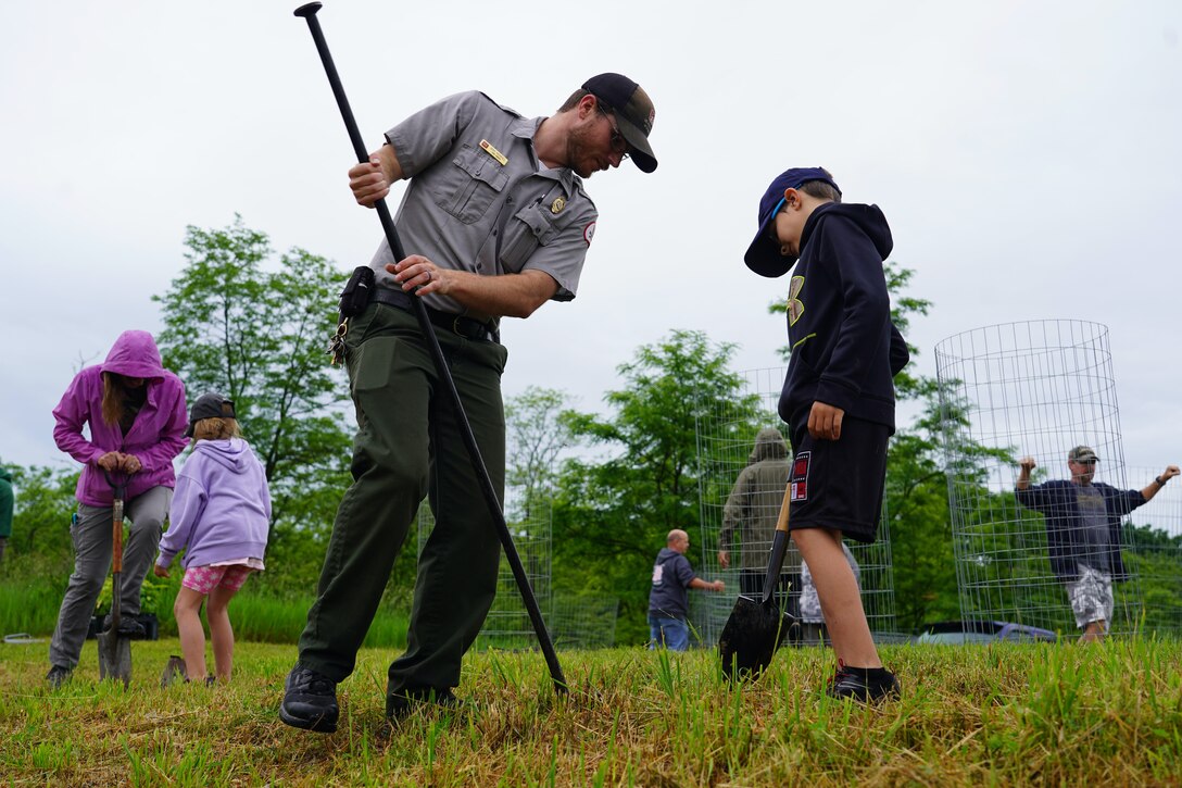 People dig holes for chestnut tree planting