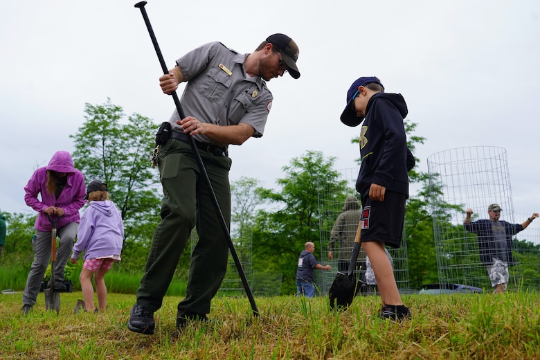 People dig holes for chestnut tree planting