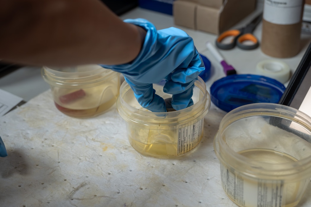 Airman wearing blue gloves rinses a magnetic chip detector in isopropyl alcohol