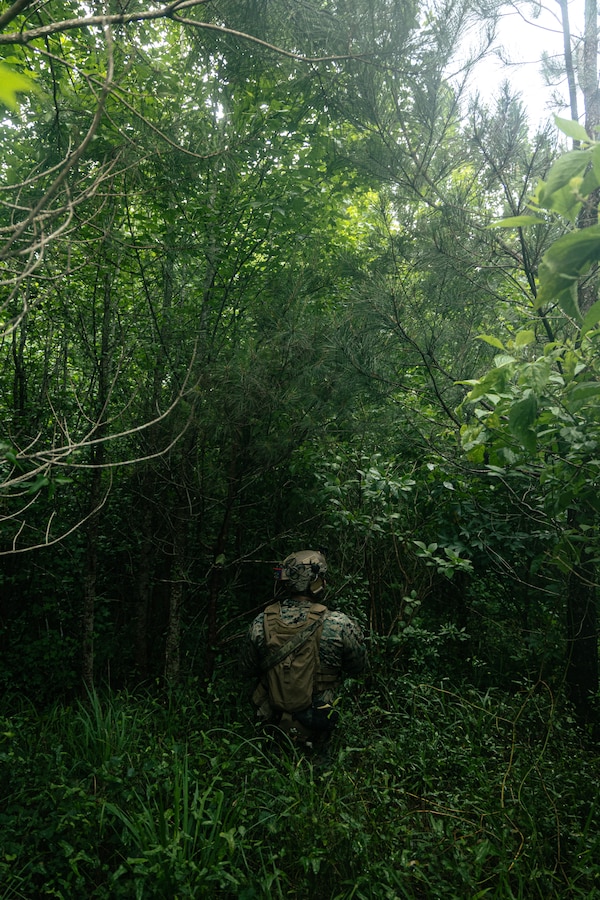 U.S. Marine Corps Lance Cpl. Freddy Vallejosreyes, a team leader with Lima Company, Battalion Landing Team 3/6, 22nd Marine Expeditionary Unit, posts security in the tree line during a simulated non-combatant evacuation operation as part of Iwo Jima Amphibious Ready Group Marine Expeditionary Unit exercise, at Marine Corps Base Stone Bay, North Carolina, May 28, 2025. During ARGMEUEX, the 22nd MEU, aboard IWOARG shipping, conducts various mission essential tasks that enhance operational readiness and lethality as a unified IWOARG/22 MEU team. (U.S. Marine Corps photo by Cpl. Maurion Moore)